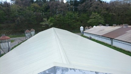 屋外用遮熱材を施工した畜舎屋根